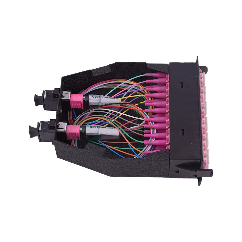 24 Fibers OM4 Multimode MTP/MPO Cassette Box 2x MTP-12 to 12x LC Duplex Type A
