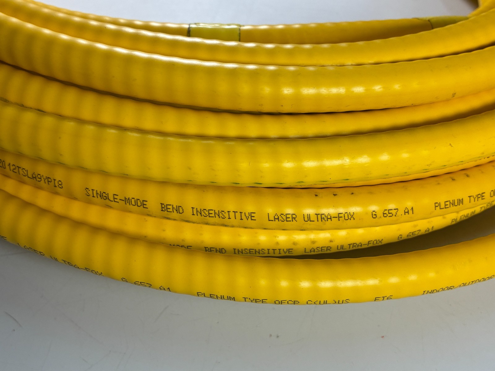 Fiber Cable 12-Strand Single Mode OCC Plenum/Indoor/Outdoor/Armor (62-FOOT COIL)