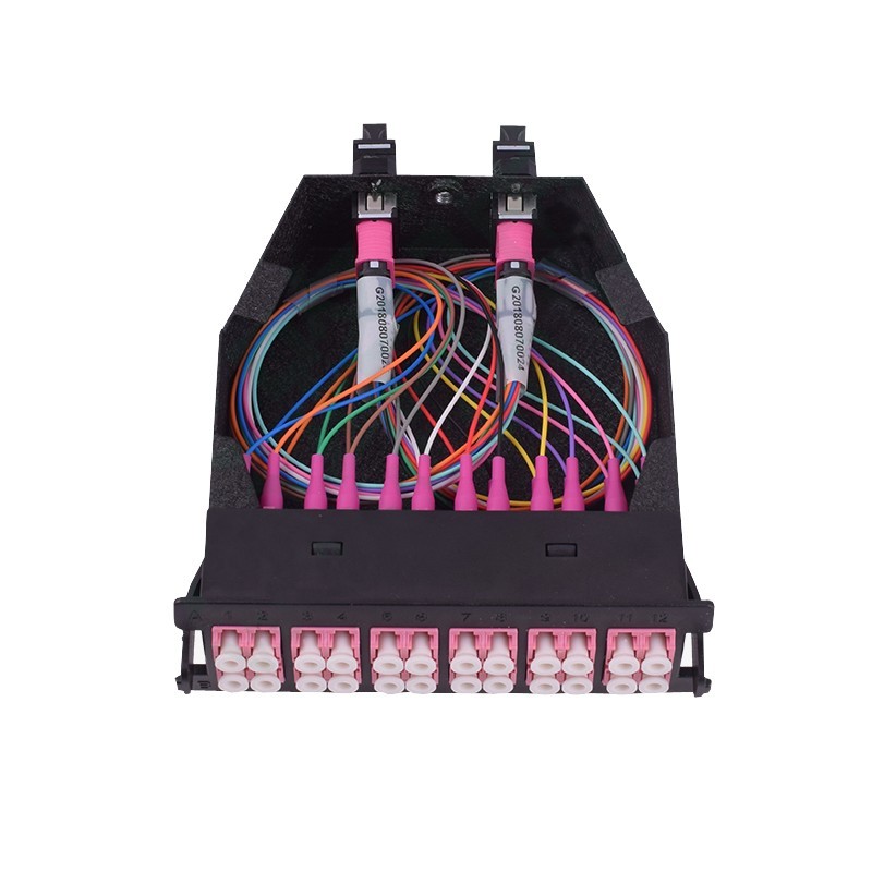 24 Fibers OM4 Multimode MTP/MPO Cassette Box 2x MTP-12 to 12x LC Duplex Type A