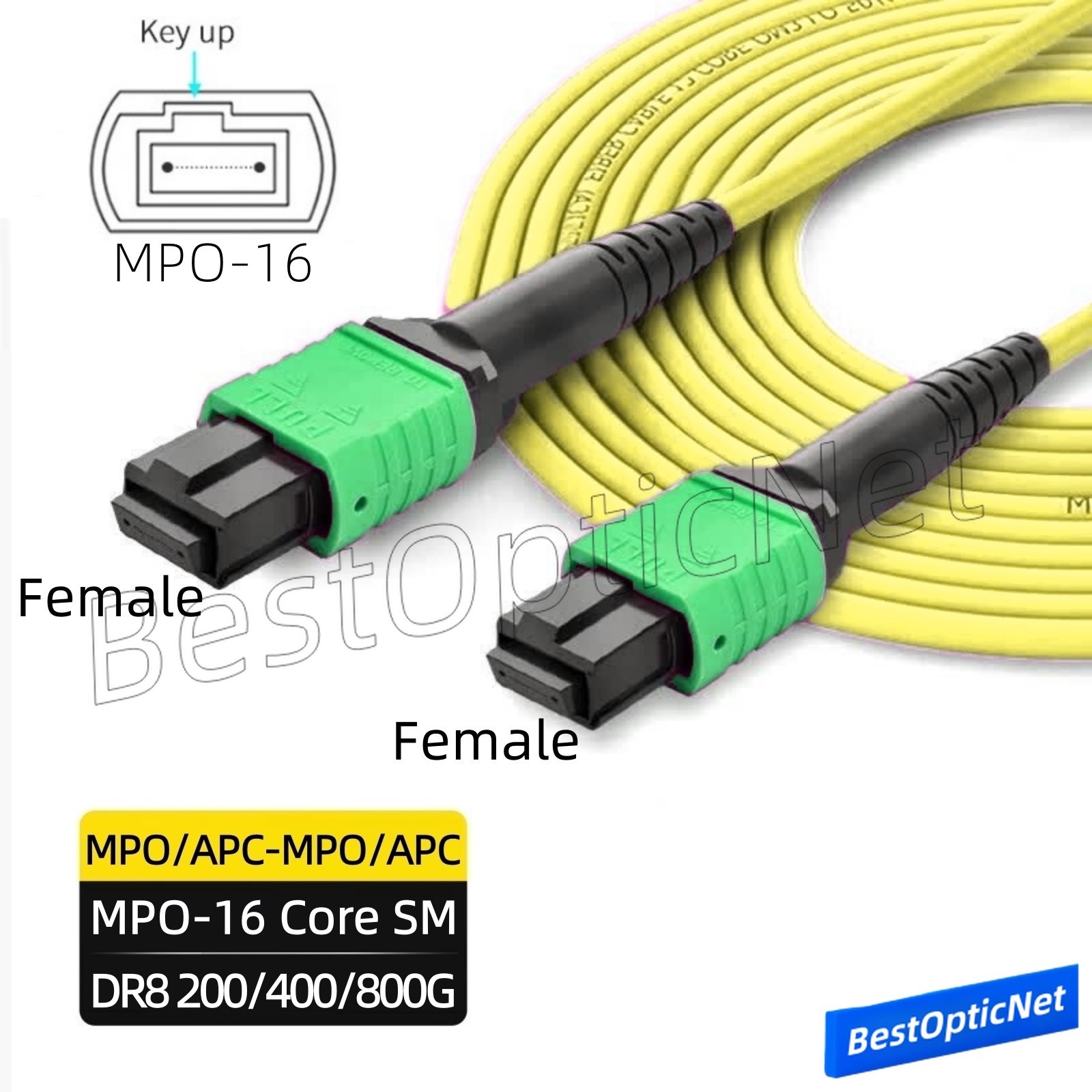 MPO16 APC Female to MPO16 APC Female 16 Core SM OS2 Fiber Optic Patch Cord DR8