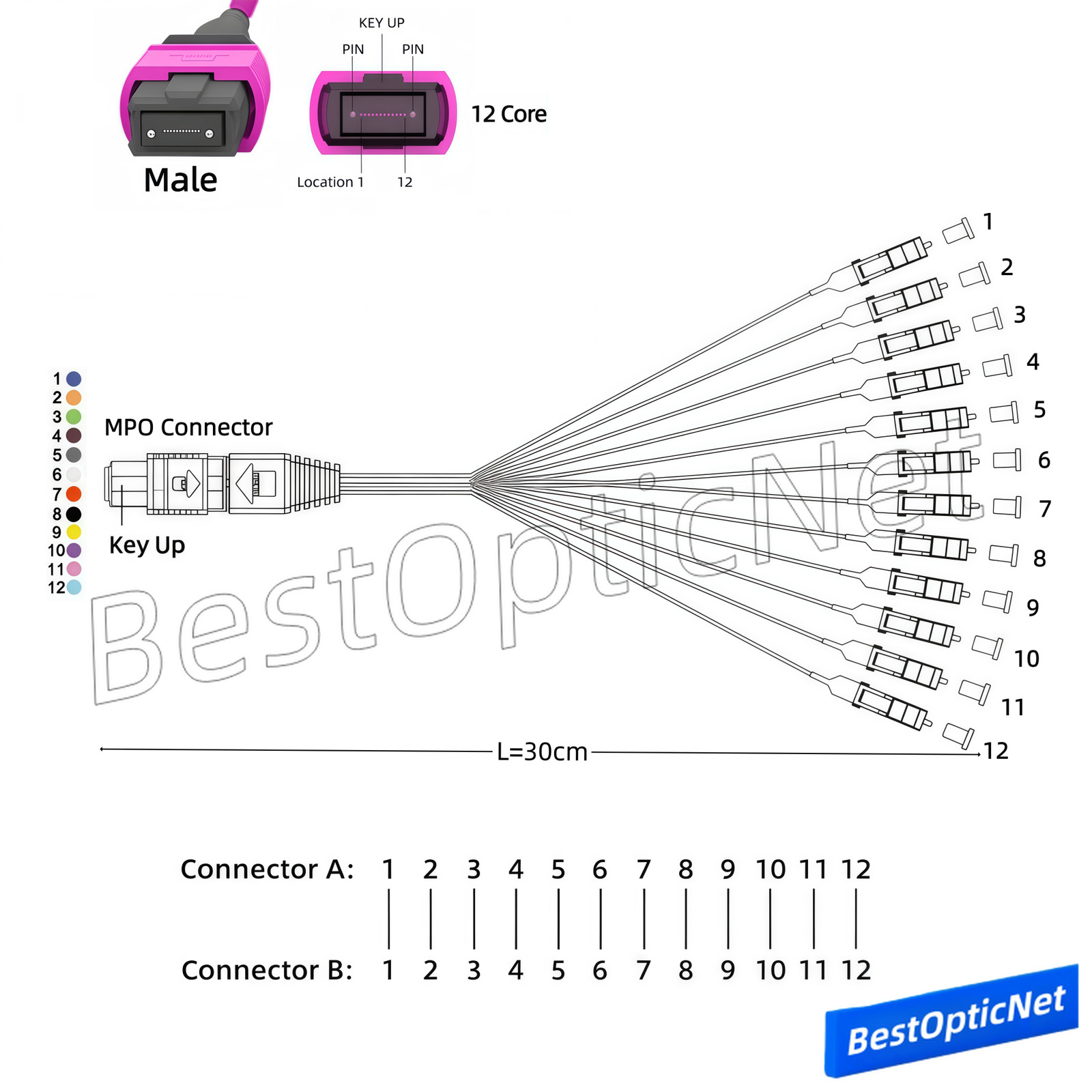 MPO Male to 12 LC OM4 12 Core Branch Fiber Optical Patch Cord Cable MTP Cassette