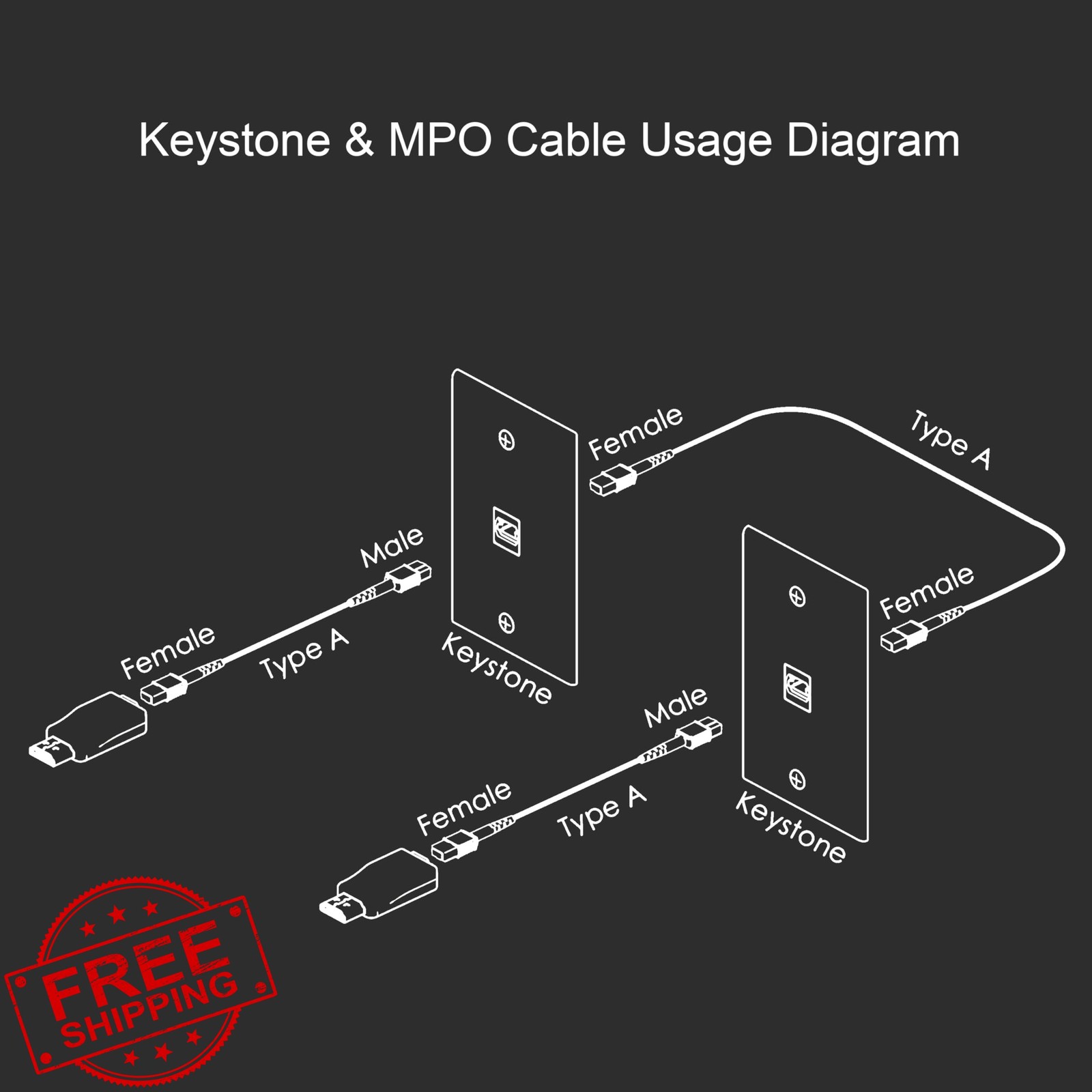 RUIPRO 3FT MPO M/F Fiber Optic Armored Cable