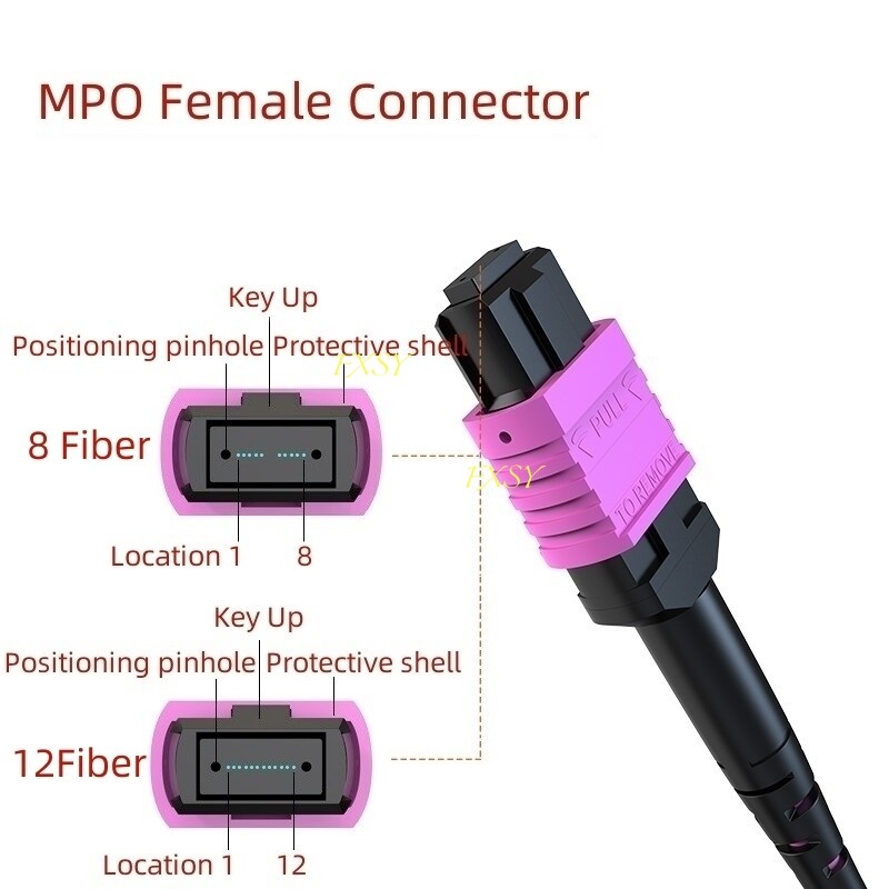 1-10M MPO Female to MPO Female OM4 Fiber Optic Patch Cord 12 Core Type B MTP lot
