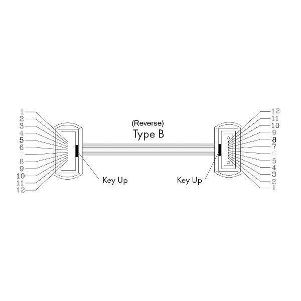 Kentek 6Ft MTP Type B OM4 50/125 Multi-Mode 12 Fibers Trunk Cable OFNP MPO