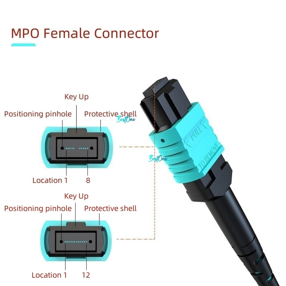 10ft MTP (F) to MTP (F) OM4 8F Type B Fiber Optic Patch Cord MPO to MPO Female