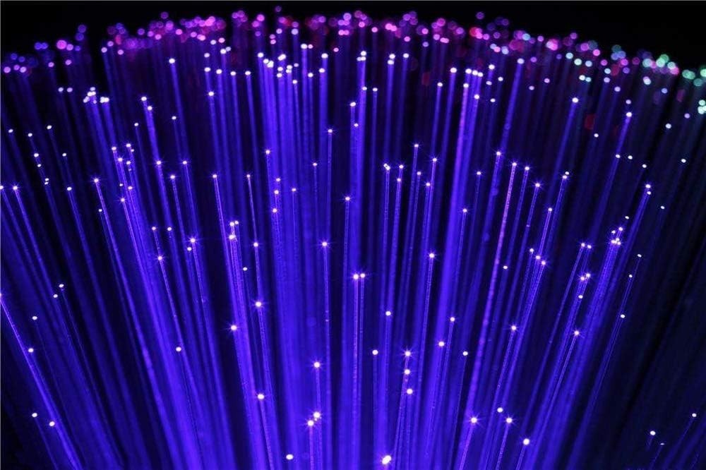 Fiber Optic Light End Glow Cable 200pcs ะค0.03in0.75mm 6.5ft/2m Pmma Plastic C