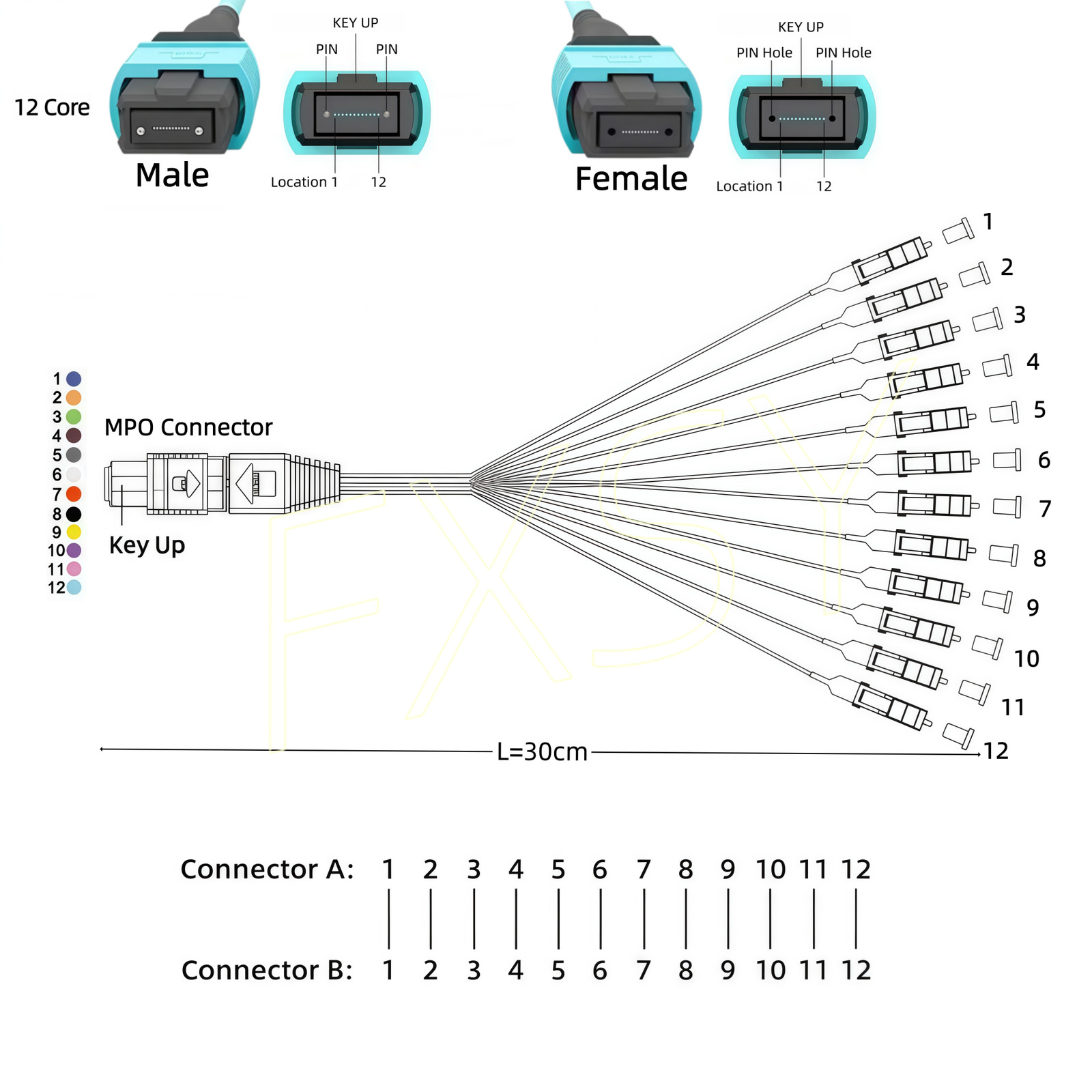 MPO to LC OM3 12 Core Breakout Fan Fiber Optic Patch Cord Cable MTP For Cassette