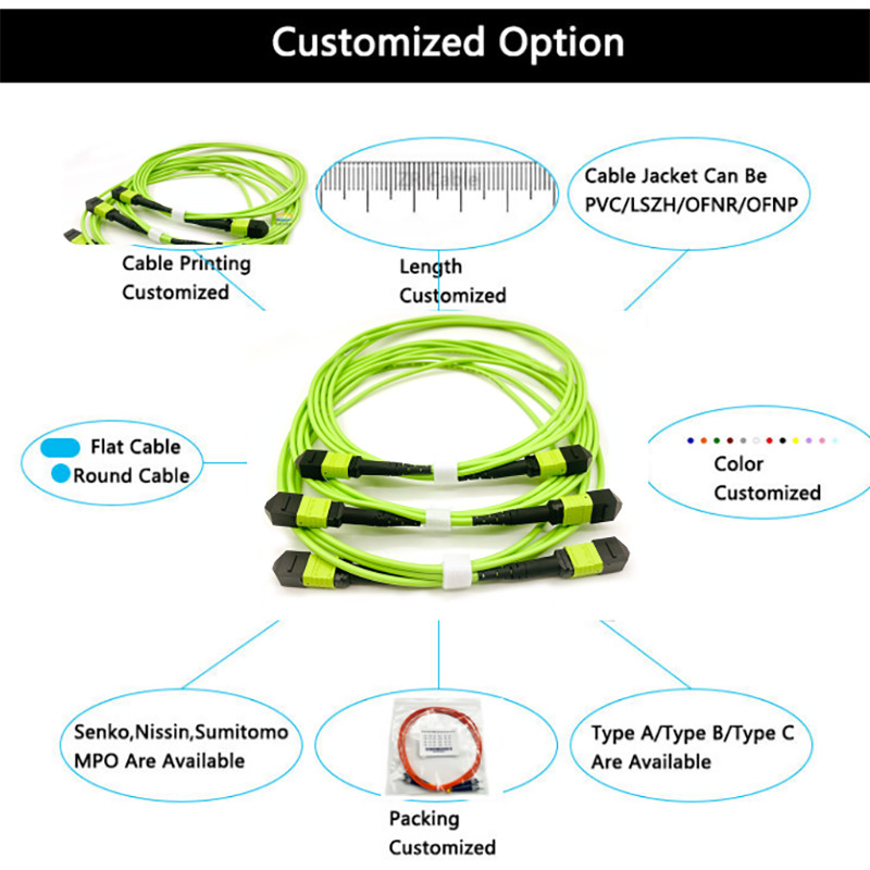 MPO Patch Cord MTP MPO OM5 12 cores Patch Cord Server Rack Installation 1m 3m 5m