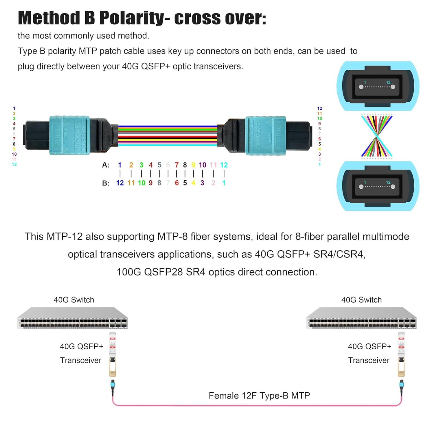 30Ft OM4 MTP/MPO Fiber Cable 12 Strand Female Plenum Patch Cord Type B