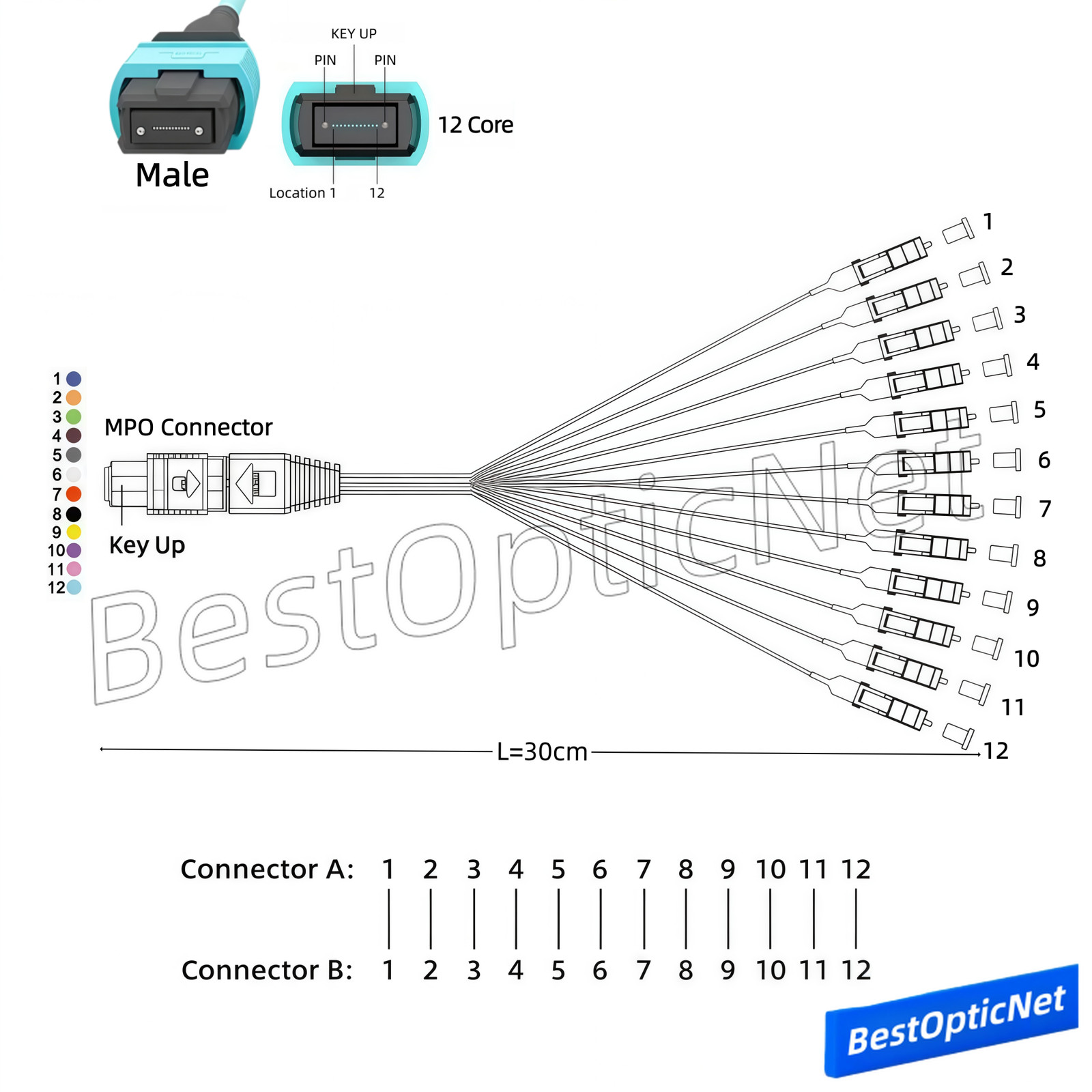 MPO Male to 12 LC OM3 12 Core Branch Fiber Optical Patch Cord Cable MTP Cassette