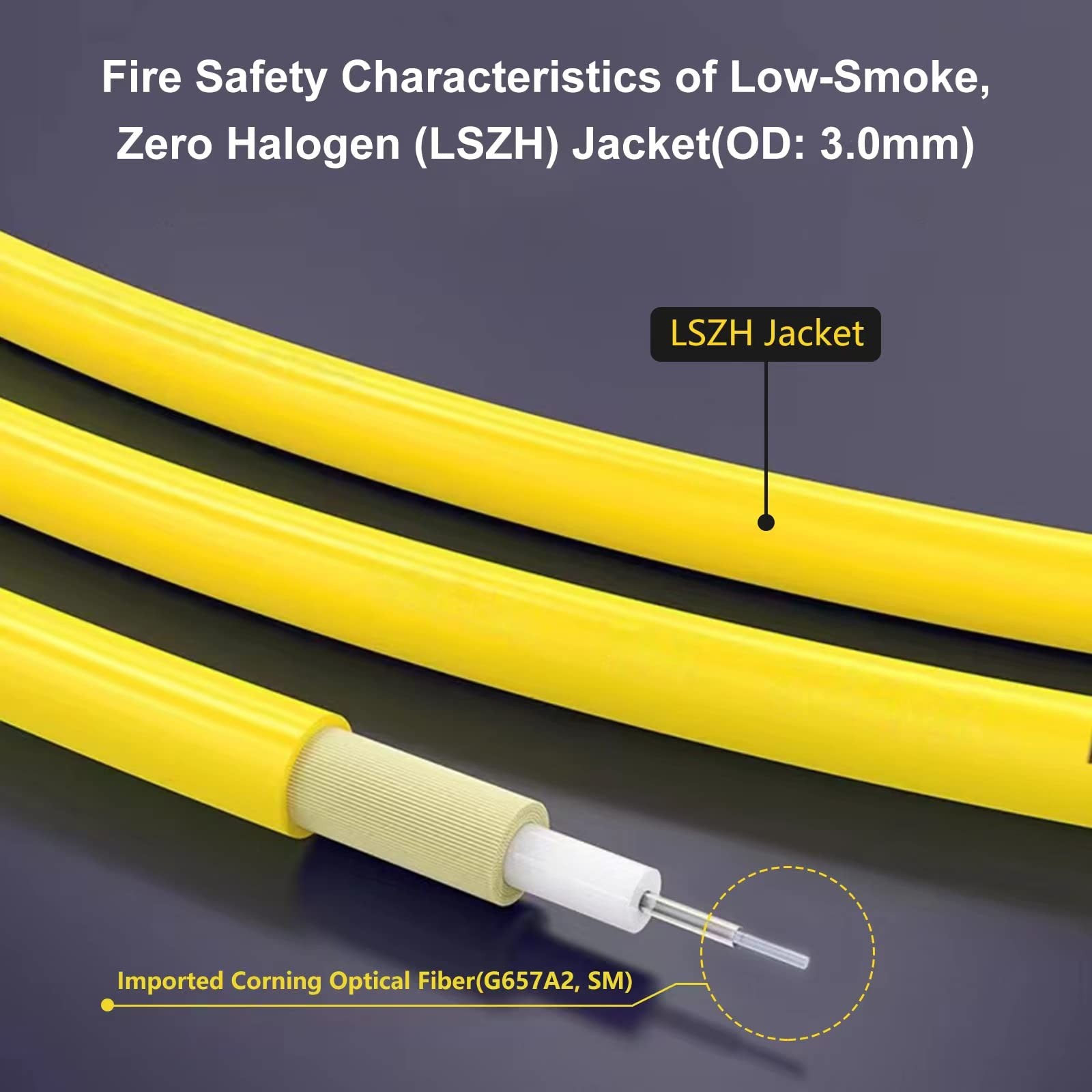 100ft 30m SC/APC to SC/APC Fiber Optic Internet Cable, Single Mode Fiber Patc…