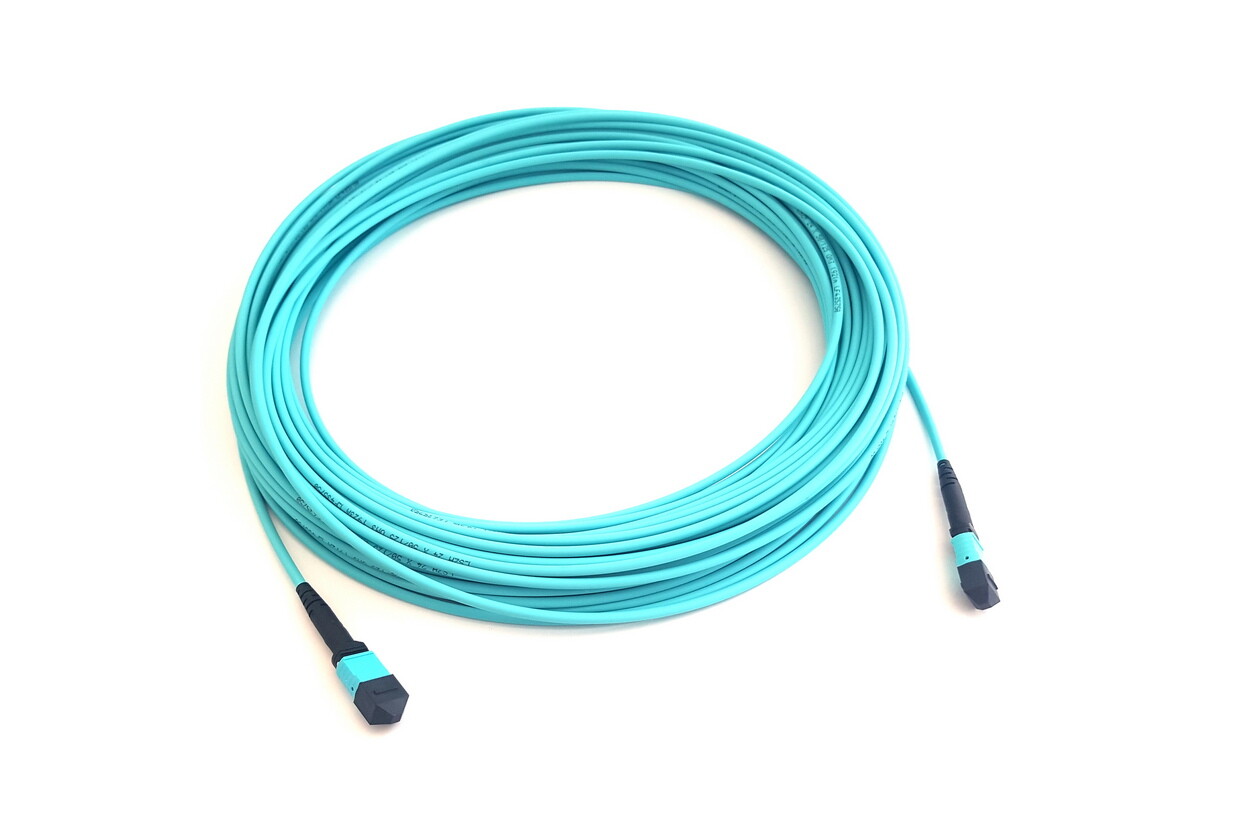 OEM CXP2-MPO-50 CXP2MPO50 For Cisco 50M MPO24 120G