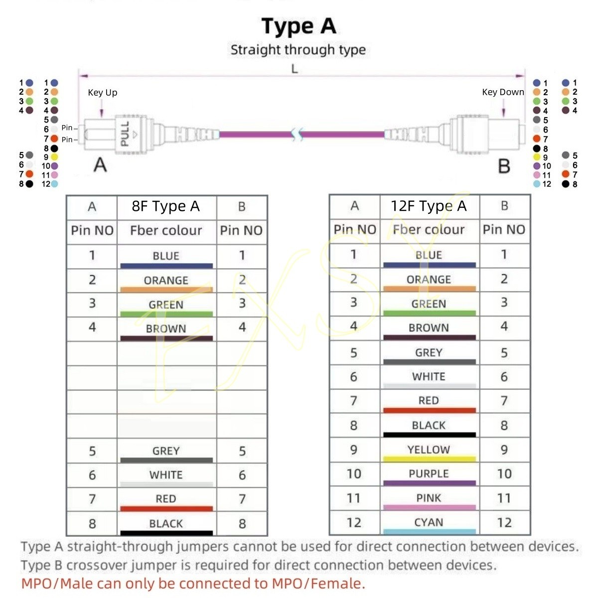 1-40M MPO/PC Male to MPO/PC Female OM4 8|12F Type A Fiber Optical Patch Cord MTP