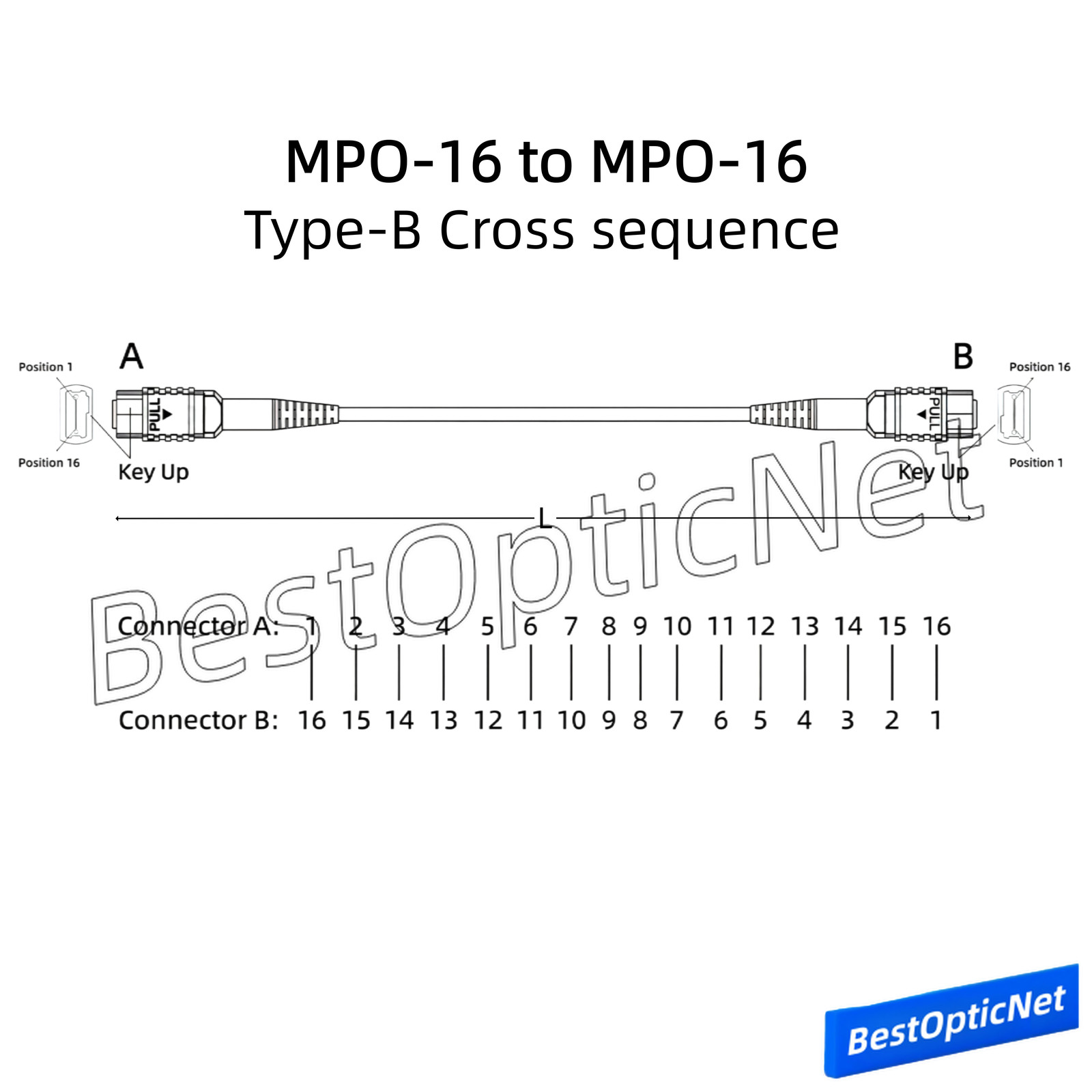 MPO16 APC Female to MPO16 APC Female 16 Core SM OS2 Fiber Optic Patch Cord DR8