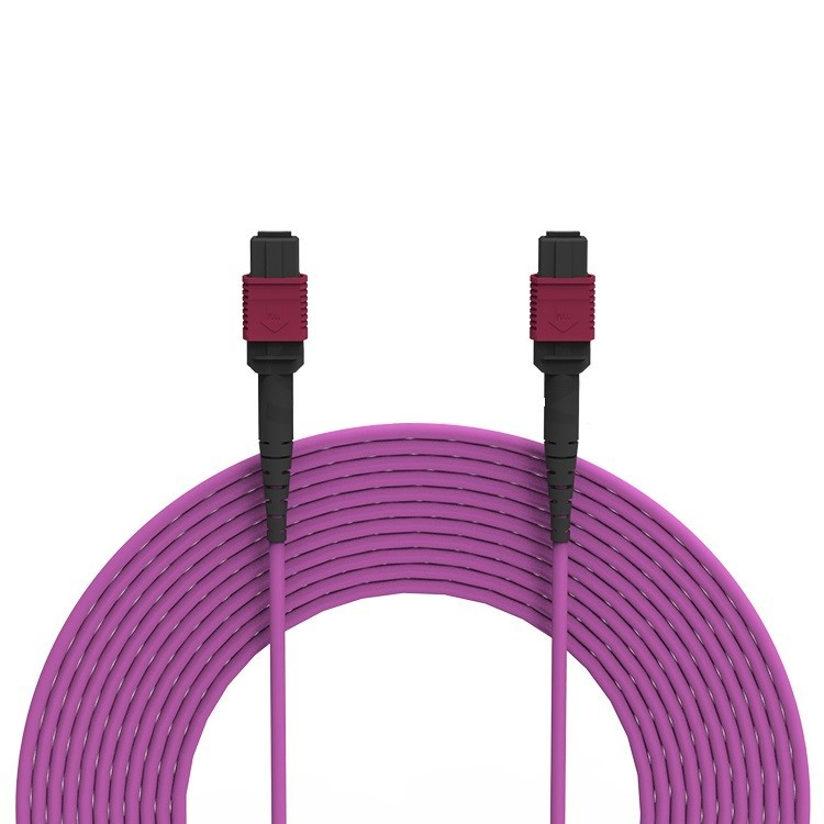 12 Fibers OM4 50/125 multimode Fiber Cable MPO Female to MPO Female Patch Cord