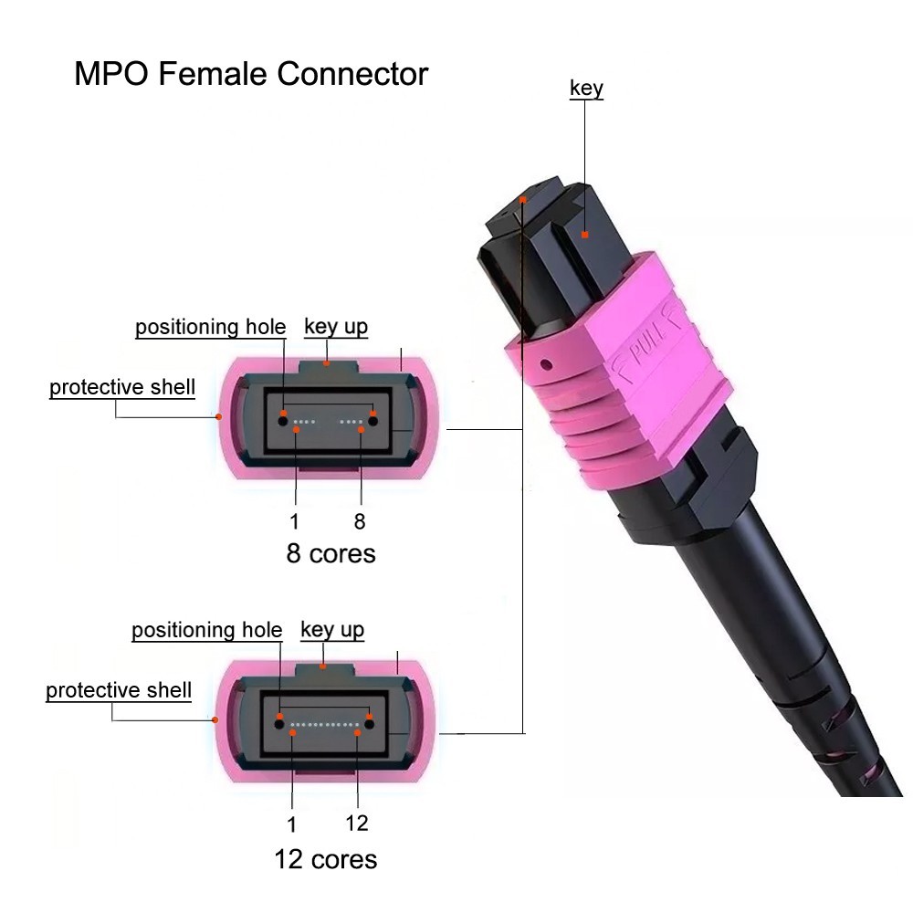 Fiber Optic Patch Cord MPO Male to MPO Female Type B OM4 8 / 12 Core Jumper lot