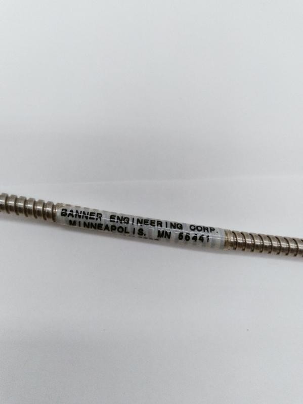 Banner 66441 Fiber Optic Cable, 2Ft