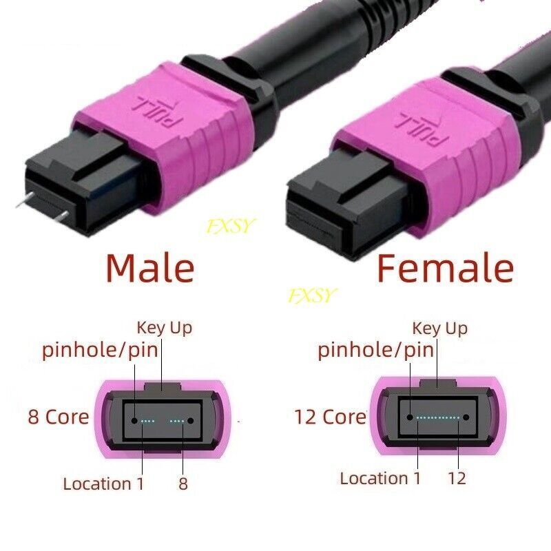 1-40M MPO/PC Male to MPO/PC Female OM4 8|12F Type B Fiber Optical Patch Cord lot