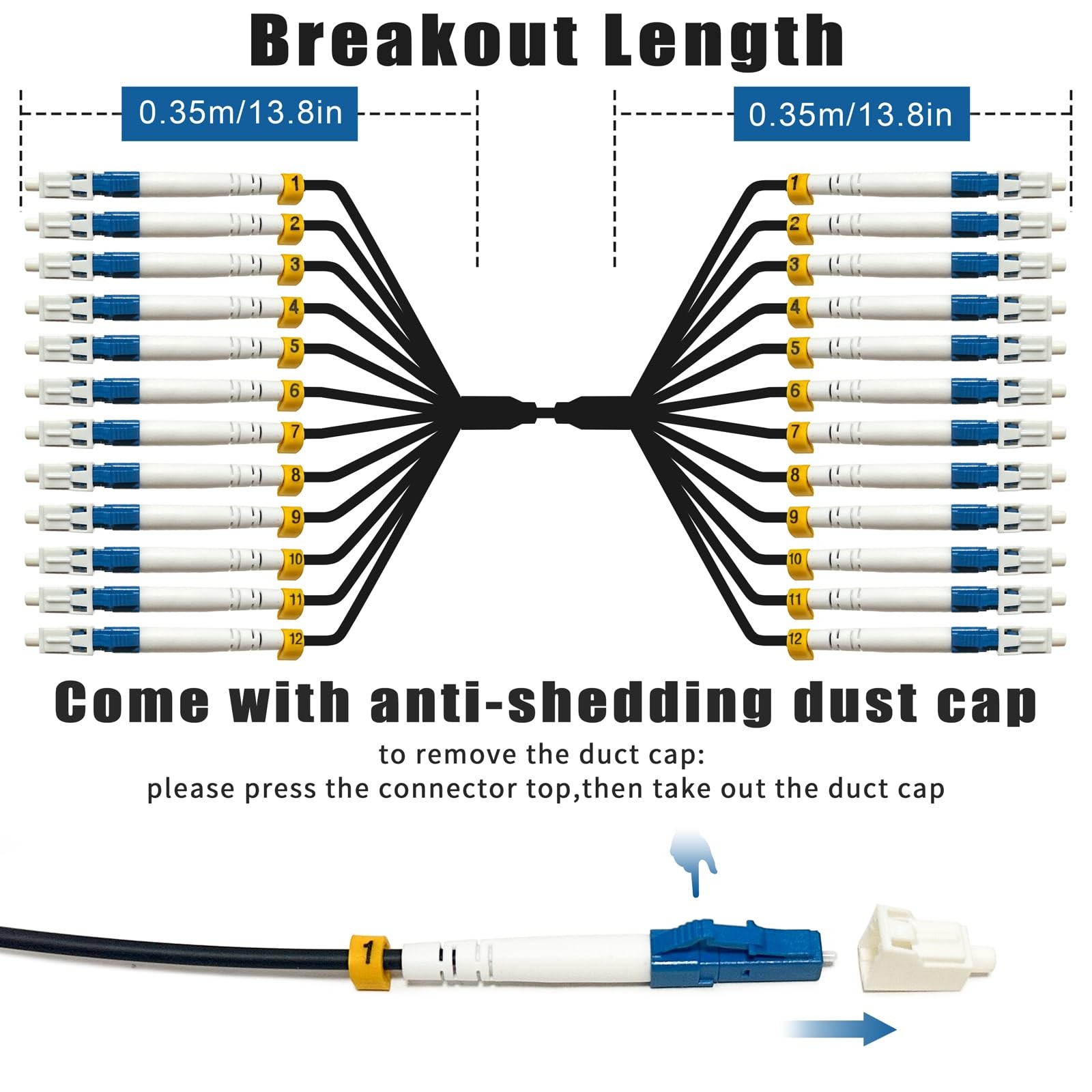 75m LC to LC 12 Core OS2 Single Mode Armored Fiber Optic Cable 9/125um