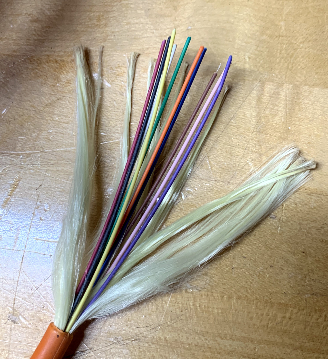 Indoor/Outdoor 12-Strand Multimode 62.5 Fiber Optic Cable – Bulk Cuts per 10ft