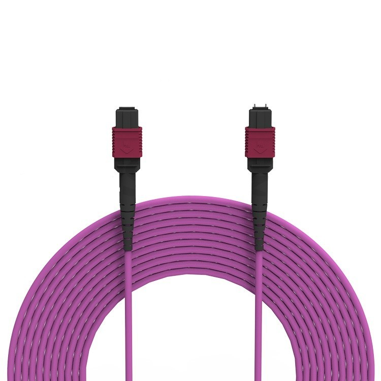 12 Fibers OM4 50/125 multimode Fiber Cable MPO Female to MPO Female Patch Cord