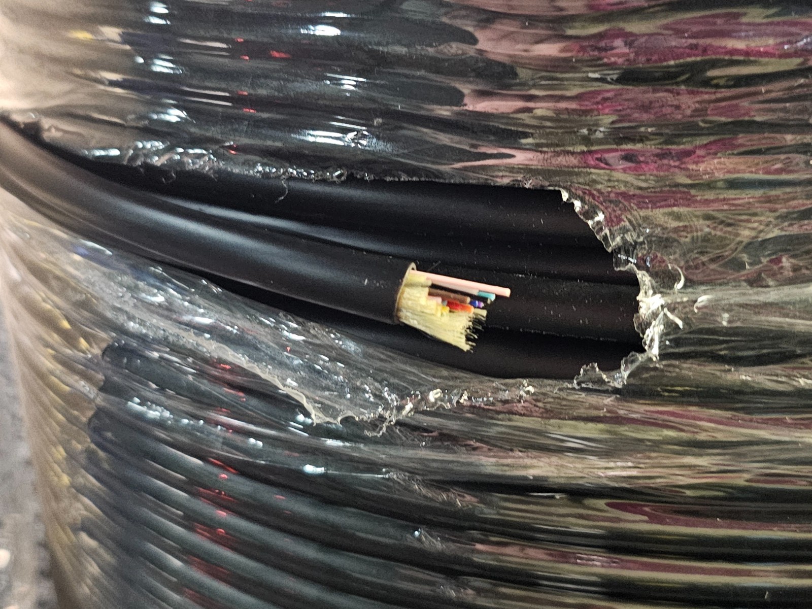 COMZON 1000 ft Indoor/Outdoor 24 Strand OS2 9/125 Singlemode Fiber Optic Cable