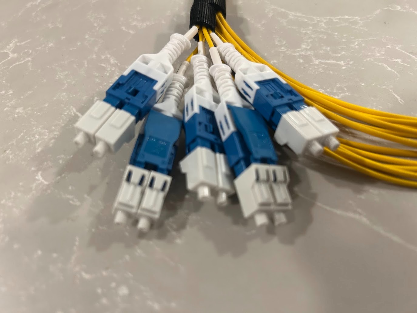 MMC-10 Male to 10 LC Duplex APC OS2 SM Optical Fiber Breakout Jumper Cable 3.6M