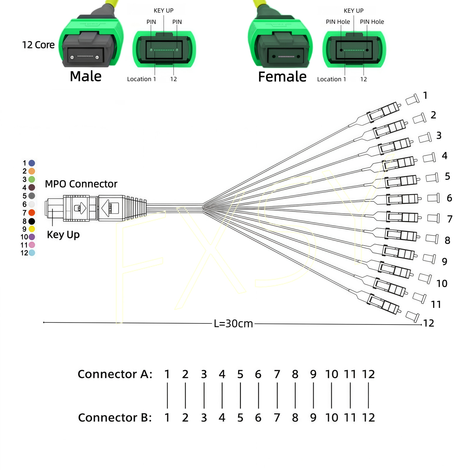 MPO to LC SM 12 Core Breakout Fan Fiber Optic Patch Cord Cable For MTP Cassette