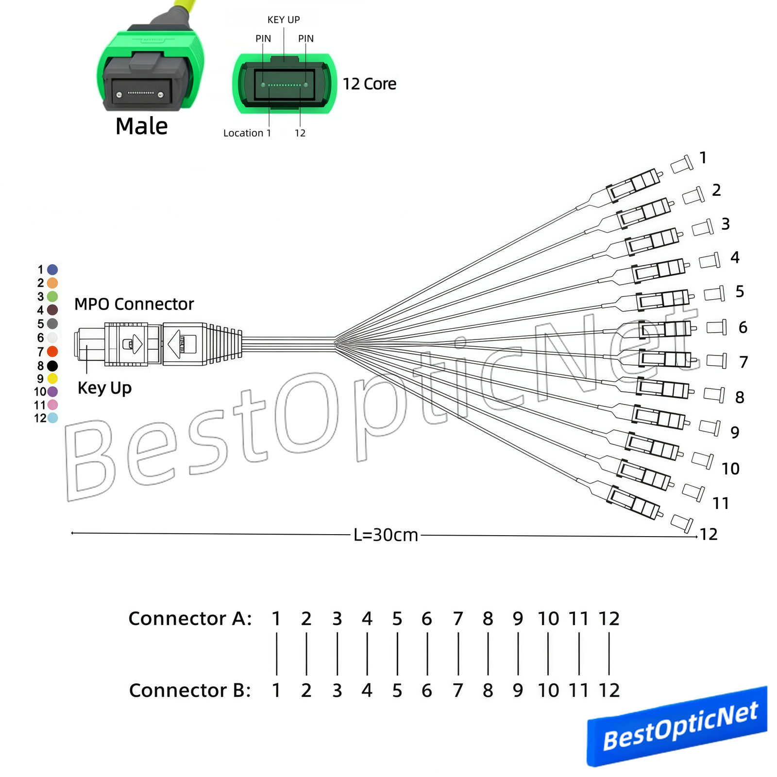 MPO Male to 12 LC SM 12 Core Branch Fiber Optical Patch Cord Cable MTP Cassette