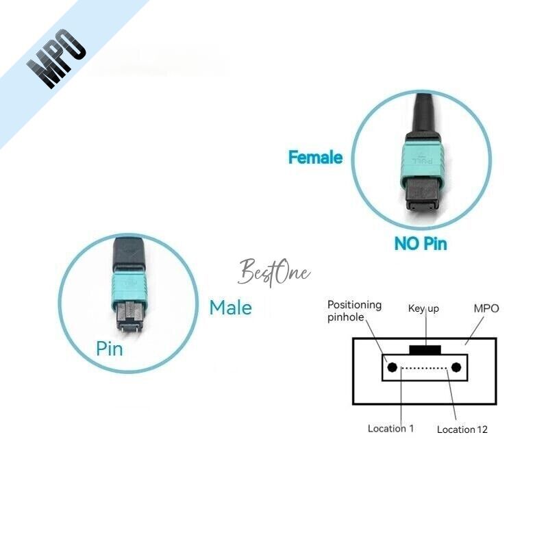 50M MPO to MPO Female OM3 Type B 8 Core 12 Core Optical Fiber Patch Cord Jumper
