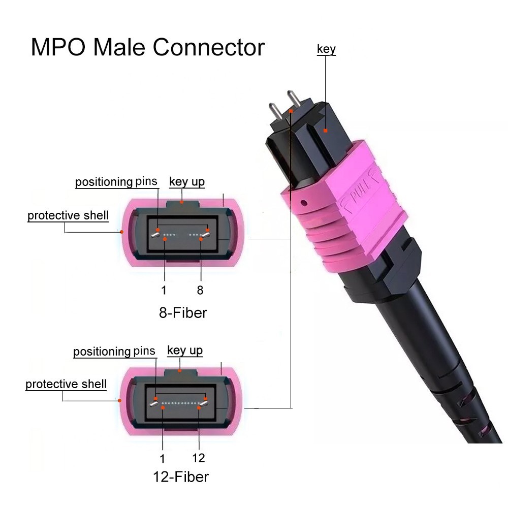 Fiber Optic Patch Cord MPO Male to MPO Female Type B OM4 8 / 12 Core Jumper lot