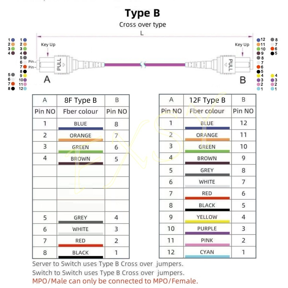 1-40M MPO/PC Male to MPO/PC Female OM4 8|12F Type B Fiber Optical Patch Cord lot