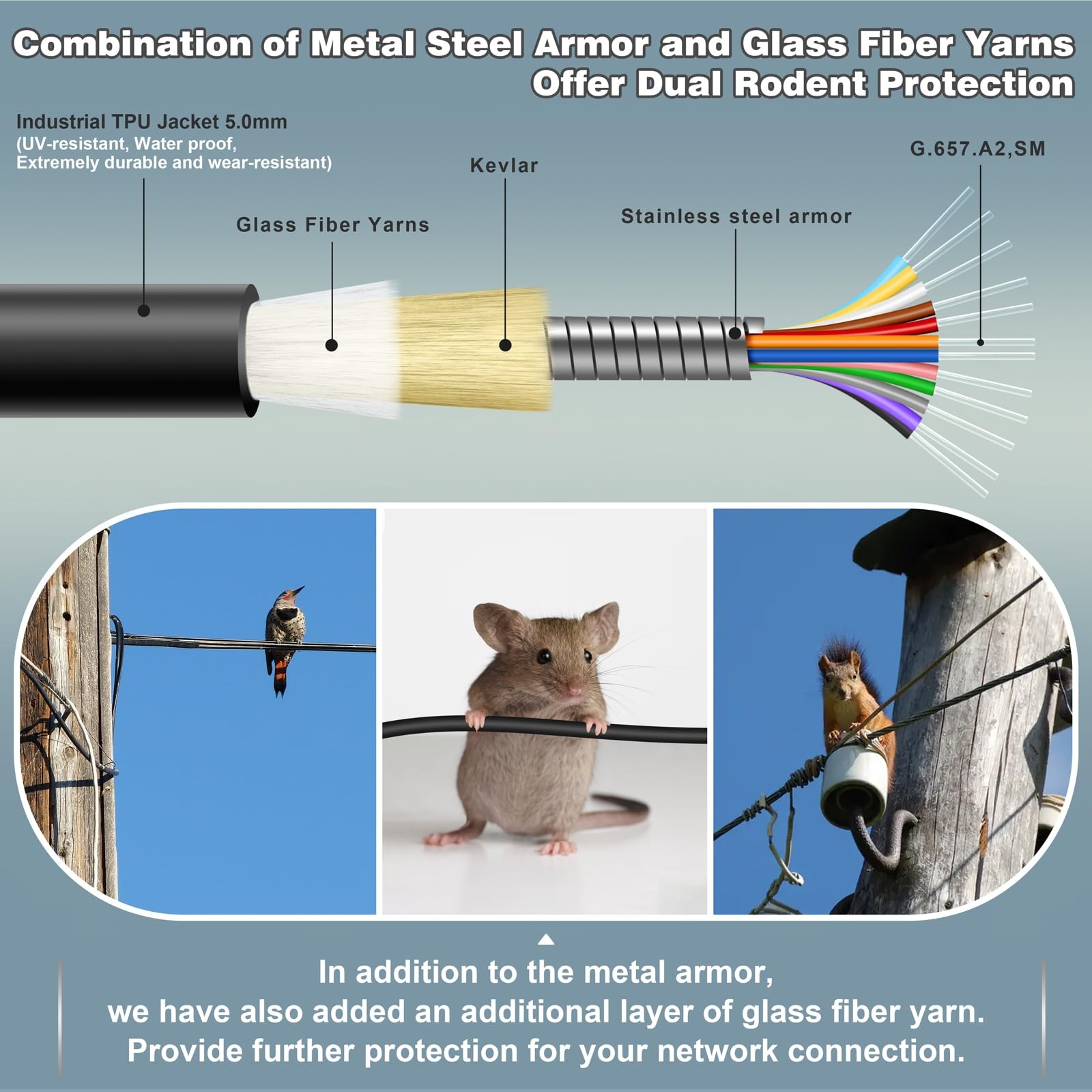 75m LC to LC 12 Core OS2 Single Mode Armored Fiber Optic Cable 9/125um