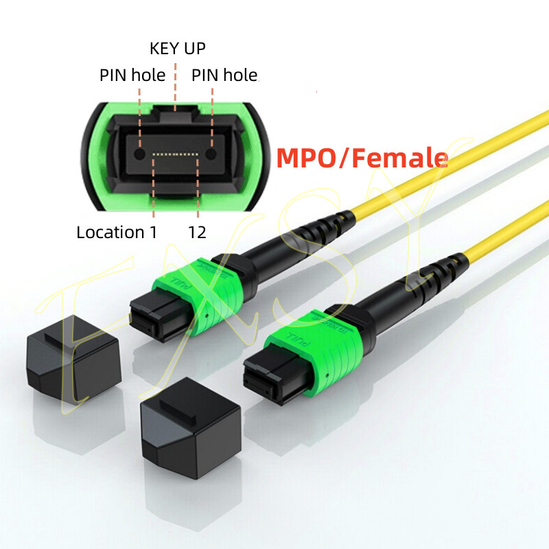 1-100M MPO Female to MPO Female UPC APC 8|12F OS2 SM Optic Fiber Patch Cord lot