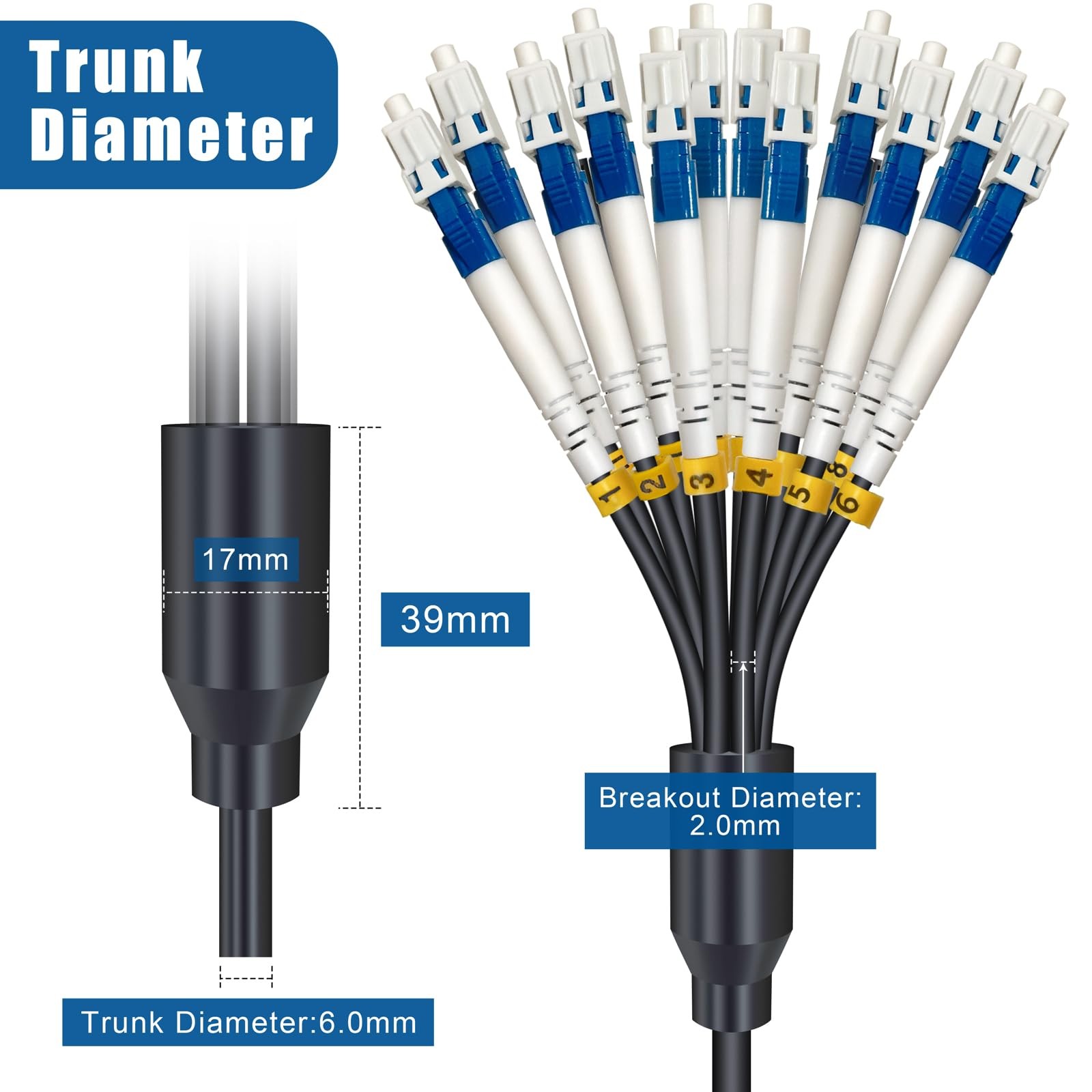 75m LC to LC 12 Core OS2 Single Mode Armored Fiber Optic Cable 9/125um