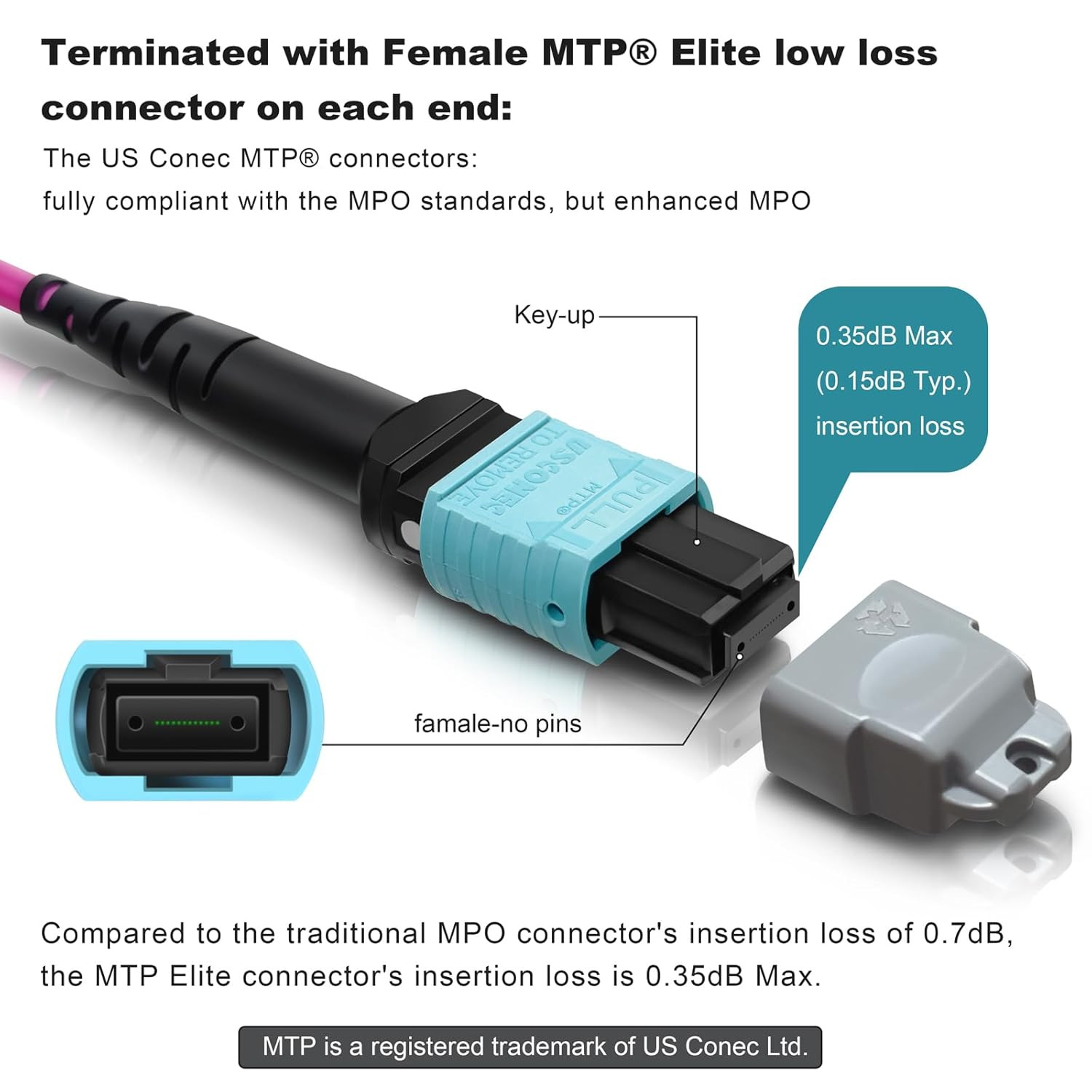 30Ft OM4 MTP/MPO Fiber Cable 12 Strand Female Plenum Patch Cord Type B