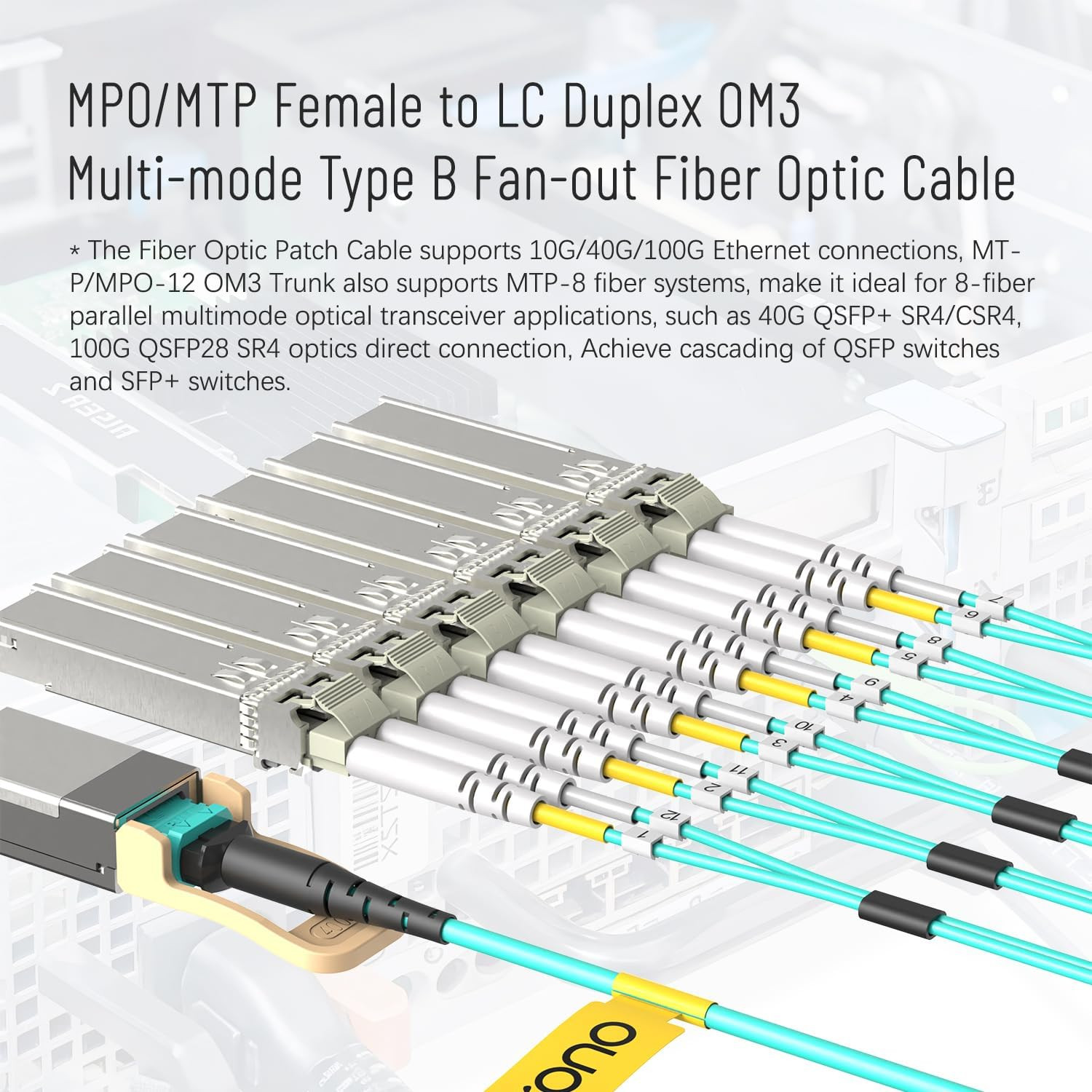Karono MPO/MTP Breakout Cable 1M(3.3Ft), 12 X LC (6 Duplex) Fanout Fiber Optic