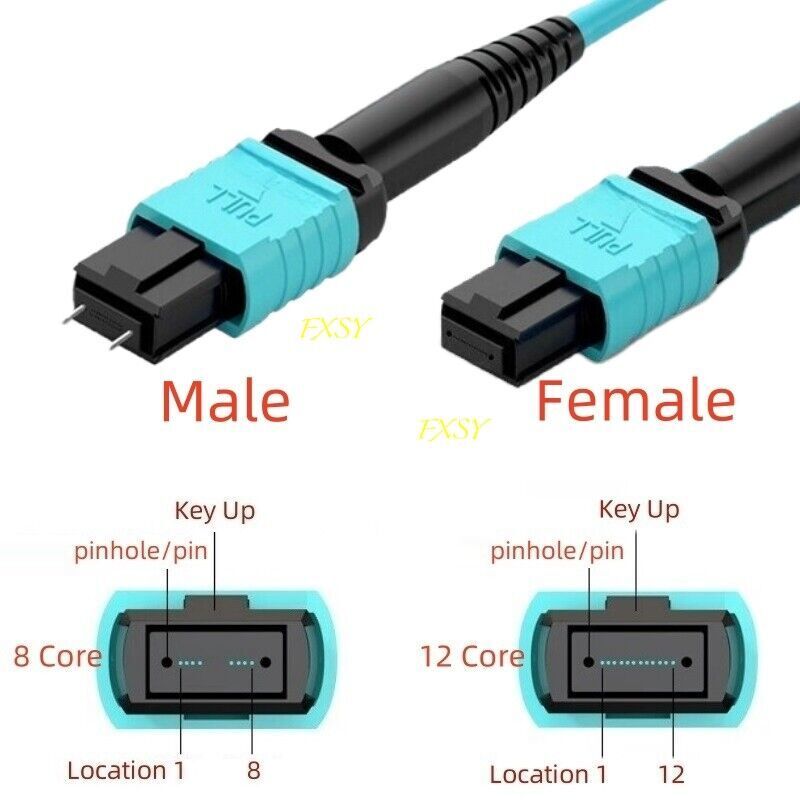 1-40M MPO/PC Male to MPO/PC Female OM3 8|12 Core Type B Fiber Optical Patch Cord